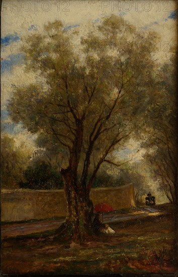 Olive Trees at Menton, 1881.