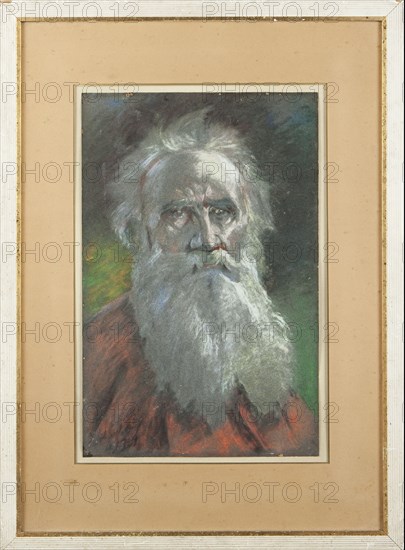 Portrait of the author Count Lev Nikolayevich Tolstoy (1828-1910).