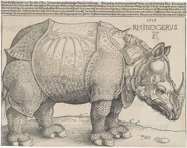 The Rhinoceros.