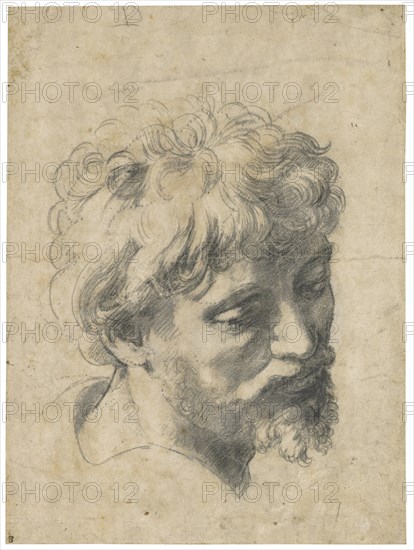 Head of a Young Apostle.