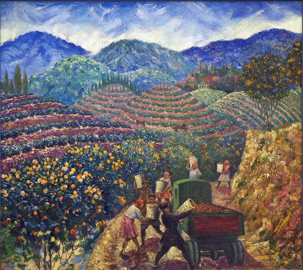 The Harvest in Chakva sovkhoz.