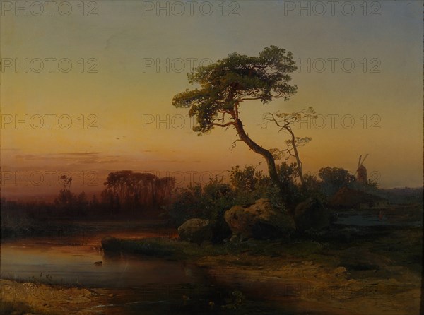 Landscape with Pine tree.