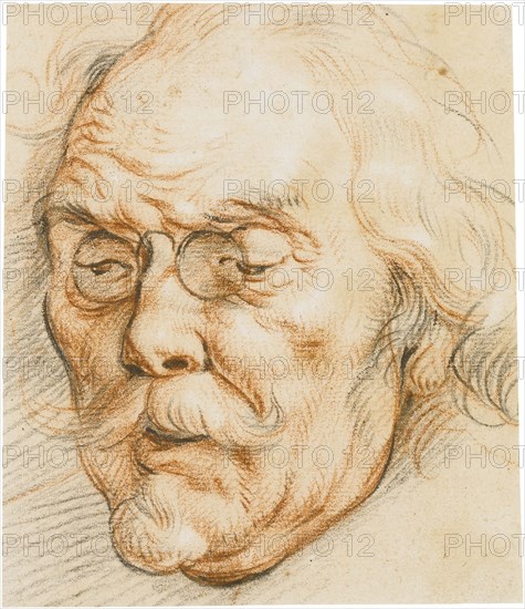 Head of an Elderly Man wearing glasses.