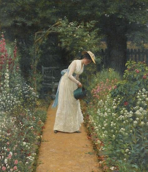 My Lady's Garden.