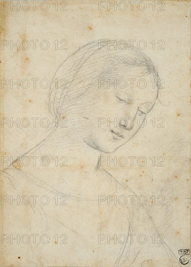 Study of a Woman.