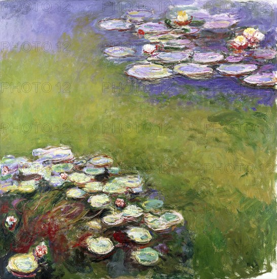 Waterlilies (Nymphéas), 1914-1917.