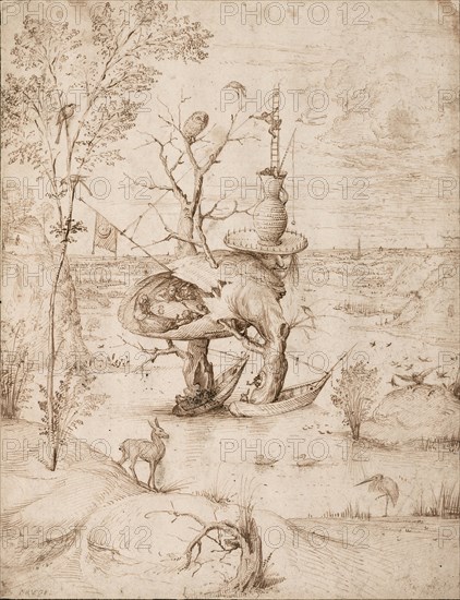 The Tree Man, c. 1505.