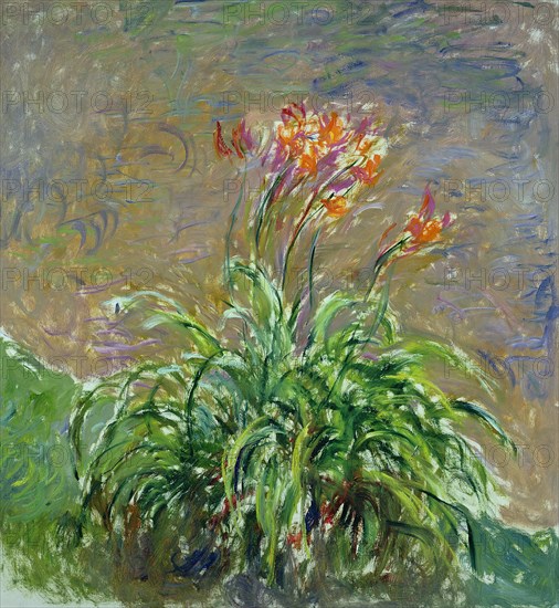 Daylilies (Les Hémérocalles), 1914-1917.