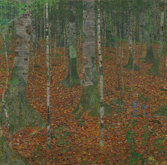Birch Forest, 1903.