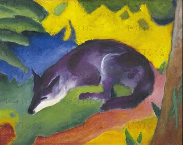 Blue-Black Fox, 1911.