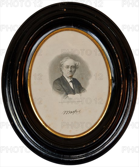 Portrait of the poet Fyodor Ivanovich Tyutchev (1803-1873), Second Half of the 19th cen.