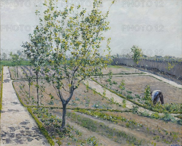 Kitchen Garden, Petit Gennevilliers, 1881-1882.