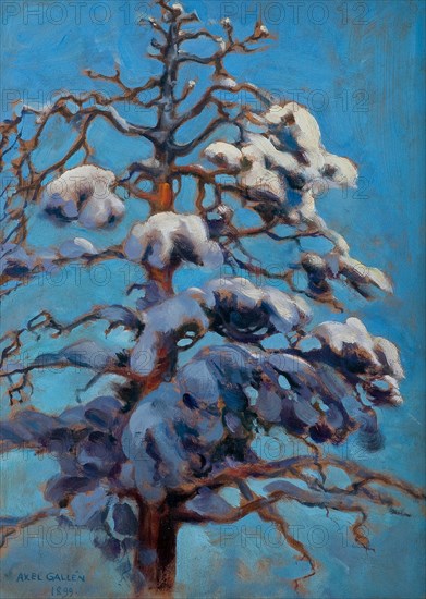 Snowy Pine Tree, 1899.