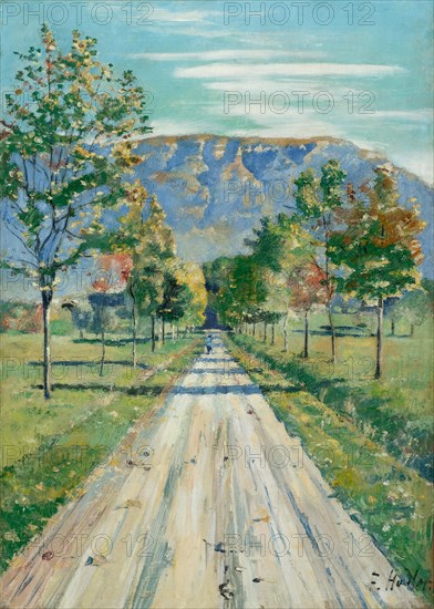 The Street to Evordes, c. 1890.