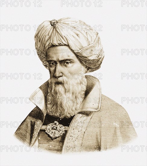 Avicenna, 19th century.