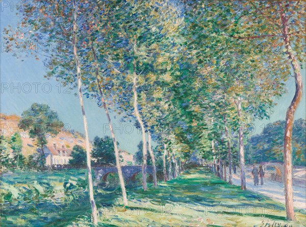 The Lane of Poplars at Moret-sur-Loing, 1890.