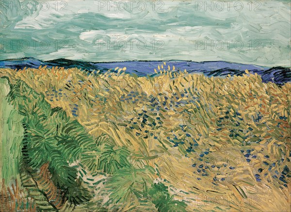 Wheatfield With Cornflowers, 1890.