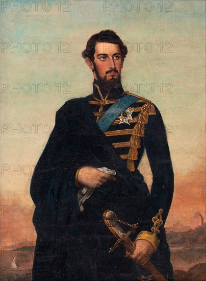 Portrait of the King Charles XV of Sweden.