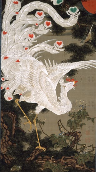 White Phoenix and Old Pine Tree, 1766.