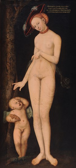 Venus with Cupid the Honey Thief, 1531.
