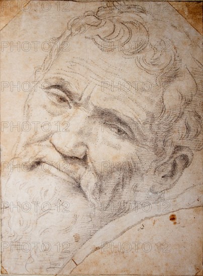 Portrait of Michelangelo Buonarroti (1475-1564), c. 1550.