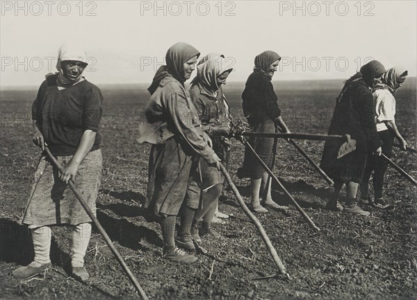 Kolkhos women on the field, Early 1930s.