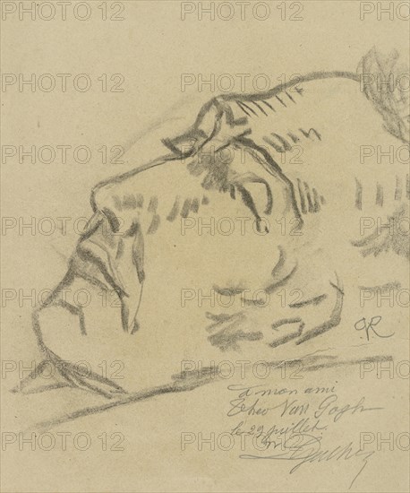Vincent van Gogh on his deathbed, 1890.