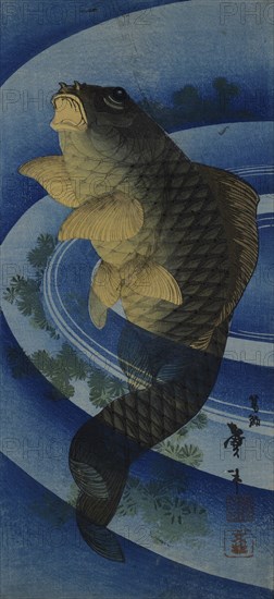 Carp (Koi), c. 1830-1840.