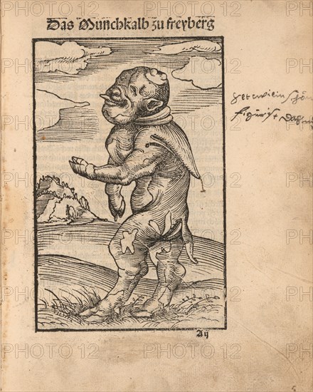 Monk Calf of Freiberg (Das Mönchskalb zu Freiberg), 1523.