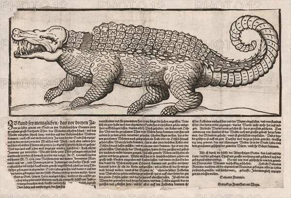 Popular print with representation of a Crocodile, 1563.