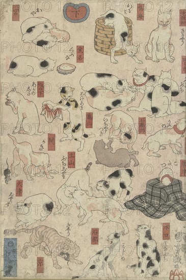 Cats. From the Series Fifty-three Stations of the Tokaido, 1848-1849.