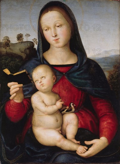 The virgin Mary is reading a book (The Solly Madonna), c. 1502-1503.
