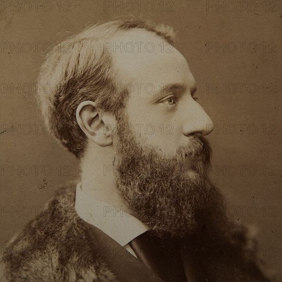 Portrait of Pierre-Jules Hetzel (1814-1886) , c. 1875.