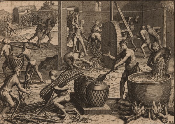 Slaves process sugar cane and make sugar. Creator: Aa, Pieter van der (1659-1733).