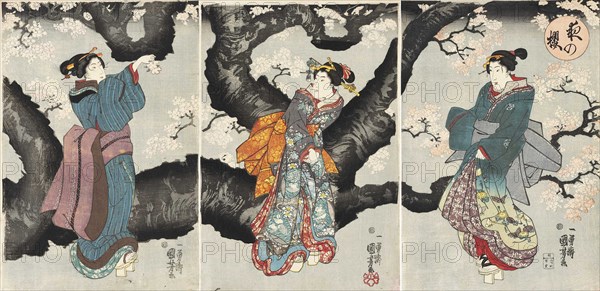 Yoru no sakura (Cherry Blossoms at Night), c1846.