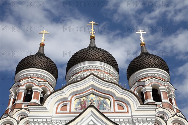 Alexander Nevsky Cathedral, Tallin, Estonia, 2011. Artist: Sheldon Marshall