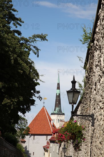 Pikk Jalg, Tallin, Estonia, 2011. Artist: Sheldon Marshall