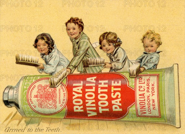 Royal Vinolia Toothpaste, 1910s. Artist: Unknown