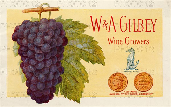 W&A Gilbey wine growers, 19th century. Artist: Unknown