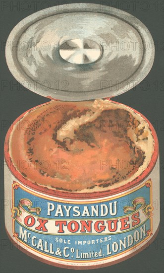 Paysandu ox tongue, 1890s. Artist: Unknown