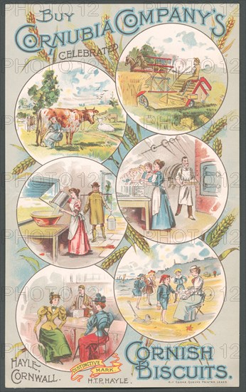 Cornubia Company Cornish biscuits, 1890s. Artist: Unknown