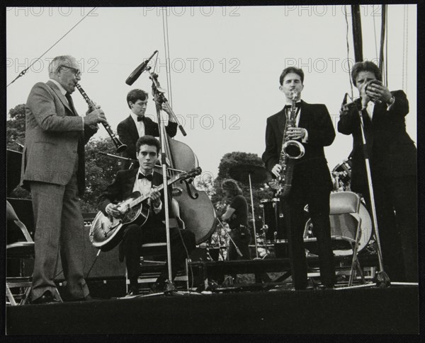 Jazz at Knebworth, Hertfordshire, 1982. Artist: Denis Williams