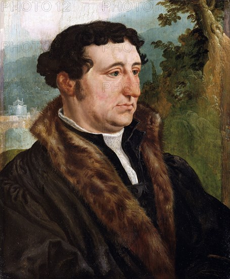 'Portrait of a man', 1540. Artist: Maerten van Heemskerck.