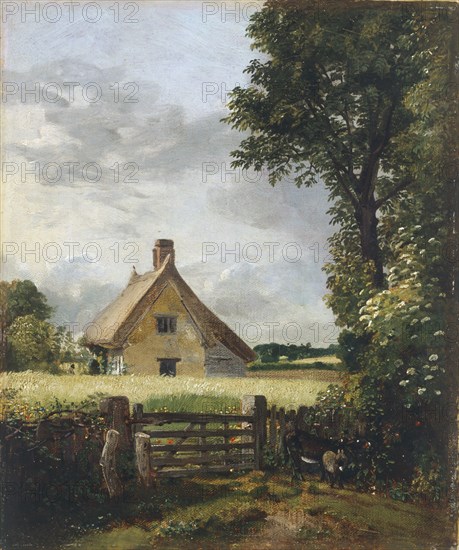 'A cottage in a cornfield', 1815-1818. Artist: John Constable.