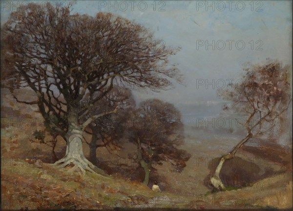 'Beeches on the Quantocks', 1885-1924. Artist: Benjamin Haughton