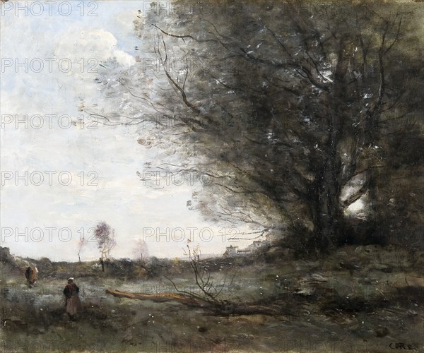 'The beech tree', 1816-1875. Artist: Jean-Baptiste-Camille Corot.