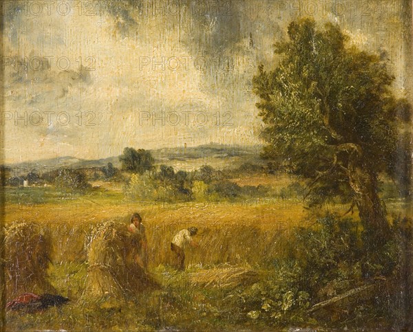 'A cornfield', 1796-1837. Artist: John Constable.