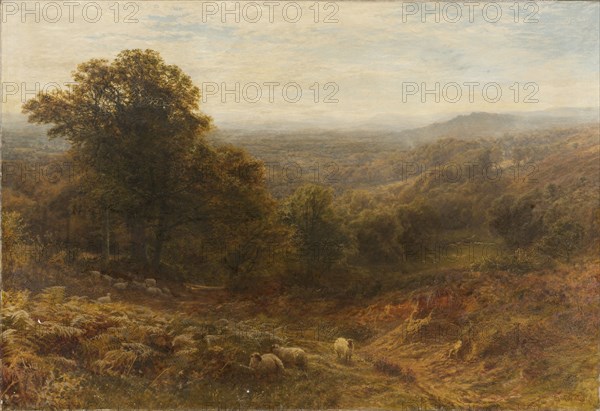 'Noon on the Surrey Hills', 1853-1893. Artist: George Vicat Cole.