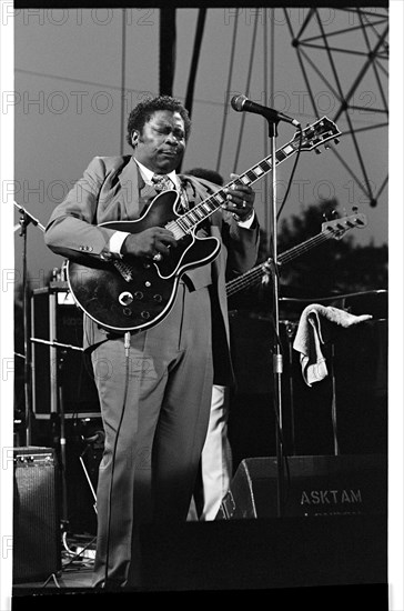 B.B. King, Capital Jazz, Knebworth, 1982.   Artist: Brian O'Connor.