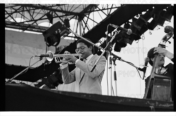 Wynton Marsalis, Knebworth, 1982.   Artist: Brian O'Connor.